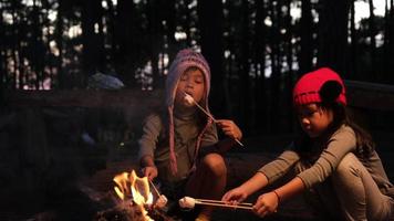 schattig weinig zussen roosteren marshmallows Aan kampvuur. kinderen hebben pret Bij kamp brand. camping met kinderen in winter pijnboom Woud. gelukkig familie Aan vakantie in natuur. video