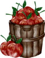 pomme rouge aquarelle png