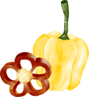 poivron aquarelle png