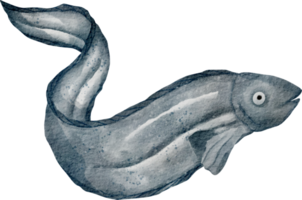 dessin animé anguille aquarelle png