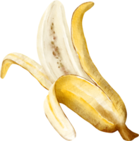 clipart de banana em aquarela png