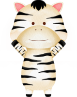 acquerello zebra cartone animato png