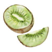 clipart de fruta de kiwi acuarela png