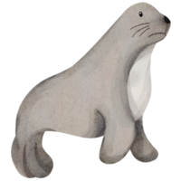 watercolor seal animal element png