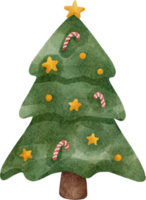 watercolor christmas tree png