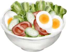 petit déjeuner salade aquarelle png