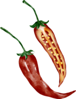 vattenfärg chili vegetabiliska png