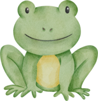 clipart fofo de sapo em aquarela png