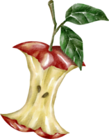 watercolor red apple png