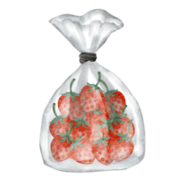 clip art de fruta de fresa acuarela png