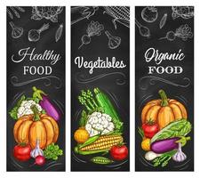 cosecha de verduras, pancartas de alimentos orgánicos