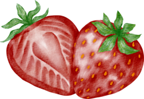 acquerello fragola frutta png