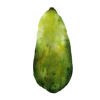 elemento de imágenes prediseñadas de papaya acuarela png