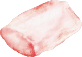 watercolor pork belly png