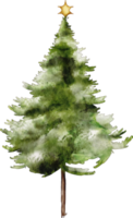 Aquarell Weihnachtsbaum png