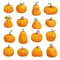 iconos vegetales de calabaza de calabaza o calabaza de otoño vector