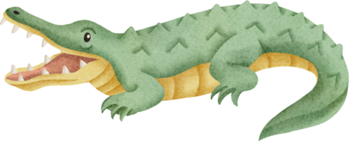 aquarela de crocodilo fofo png