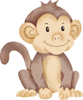 cute monkey watercolor png