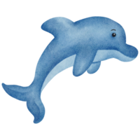 acquerello delfino clip arte png
