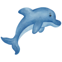 imágenes prediseñadas de delfines acuarela png