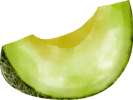 Aquarell Cantaloupe-ClipArt png