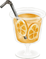 jugo de naranja acuarela png