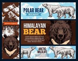 Himalayan and polar arctic bears, hunting vector