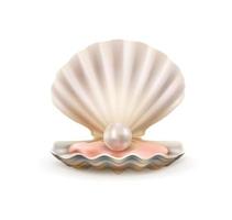 perla en conchas abiertas de concha de vieira vector 3d