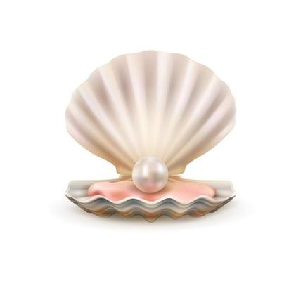 Pearl Vector Art, Icons, and Graphics for Free Download
