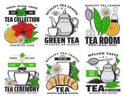 iconos de té verde y negro a base de hierbas vector