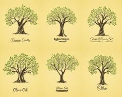 Olive tree silhouettes with leaves and branches vector