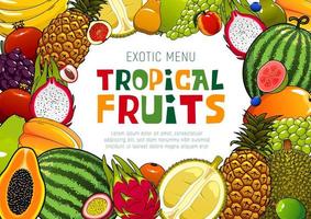 frutas exóticas, papaya tropical y piña vector