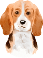 vattenfärg beagle hund png