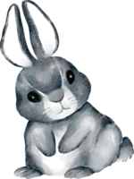 clipart aquarelle lapin mignon png