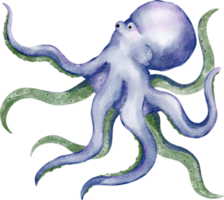 watercolor octopus cartoon png