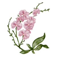 flor de clipart de orquídea em aquarela png