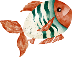 watercolor aquarium sea animal png