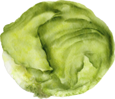 vegetal de alface aquarela png