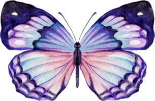 waterverf vlinder schattig png
