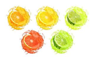 Lemon, orange, lime, grapefruit and bergamot juice vector