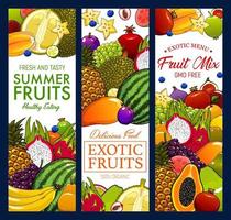 Tropical fruit of exotic garden. Farm food banners vector