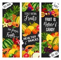 Exotic fruit and garden berry blackboard banners vector