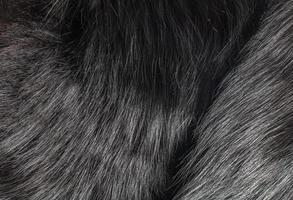 Background of natural fur with long pile. Texture of black fox fur, high pile. photo