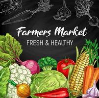 Farm market vegetables, chalkboard vector sketch