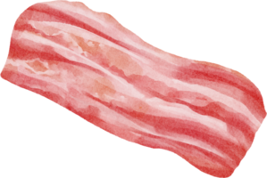 art du club de bacon aquarelle png