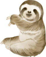 watercolor sloth cute clip art png