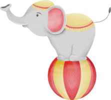 éléphant de cirque aquarelle png