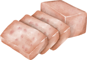 watercolor meat element png