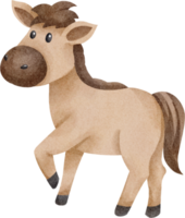 carino cavallo acquerello png