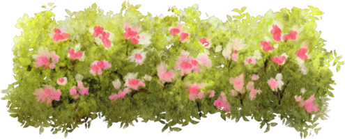 watercolor bush clip art png